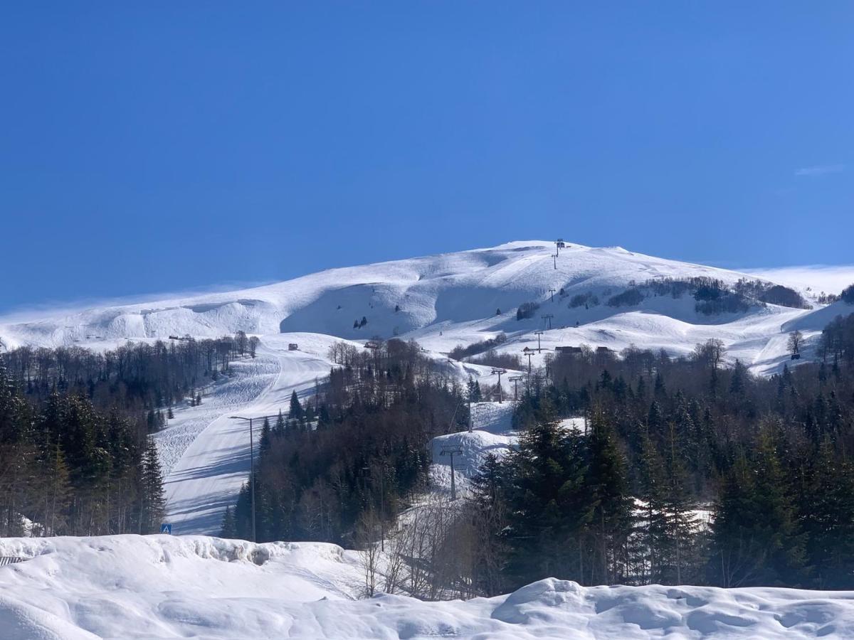 Отель Modern Mountain Колашин Экстерьер фото